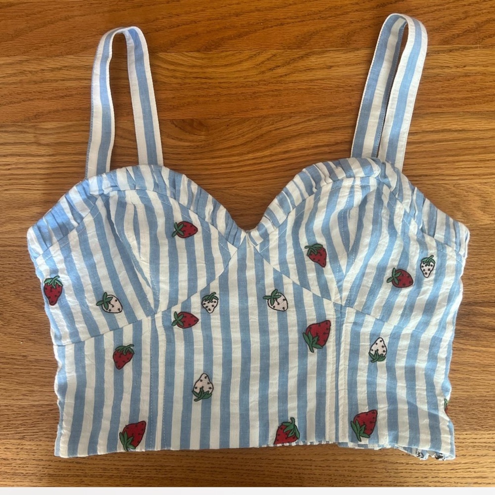 Anthropologie Blue and White Striped Crop Top with strawberries
